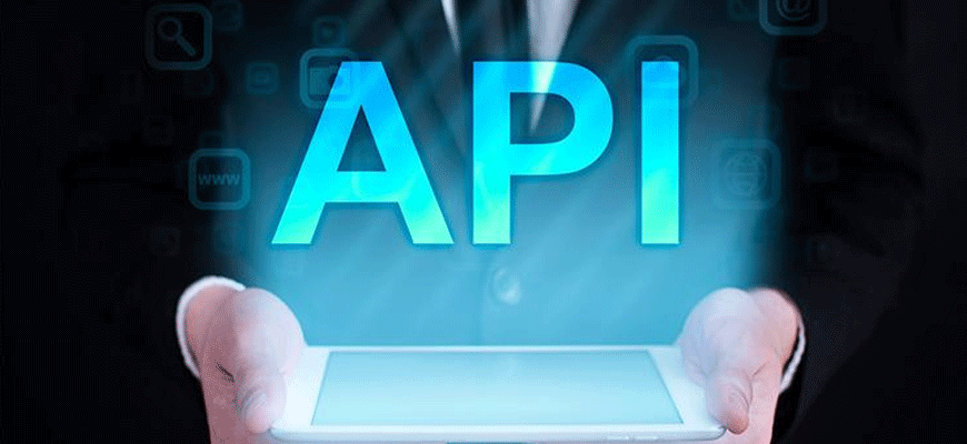 The API (Application Programming Interface)