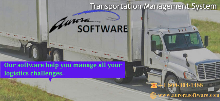 Everything You Need To Know About Transportation Management System